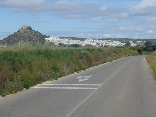 The town of Almod&oacute;var del Rio and its Castle.